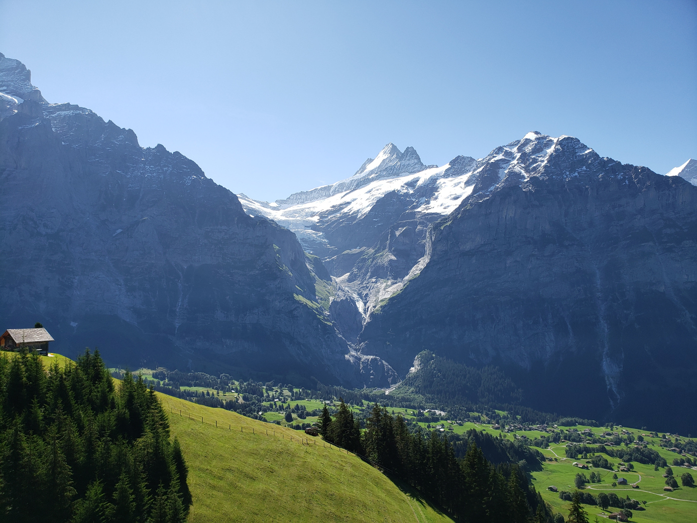 GrindelwaldFirst_2